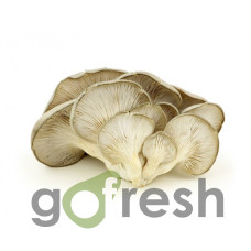Ciuperci Pleurotus 1kg Ciuperci Pleurotus 1kg